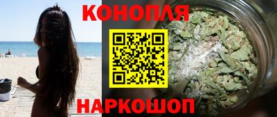 крисы Аргун
