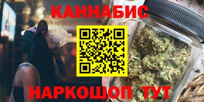 крисы Аргун