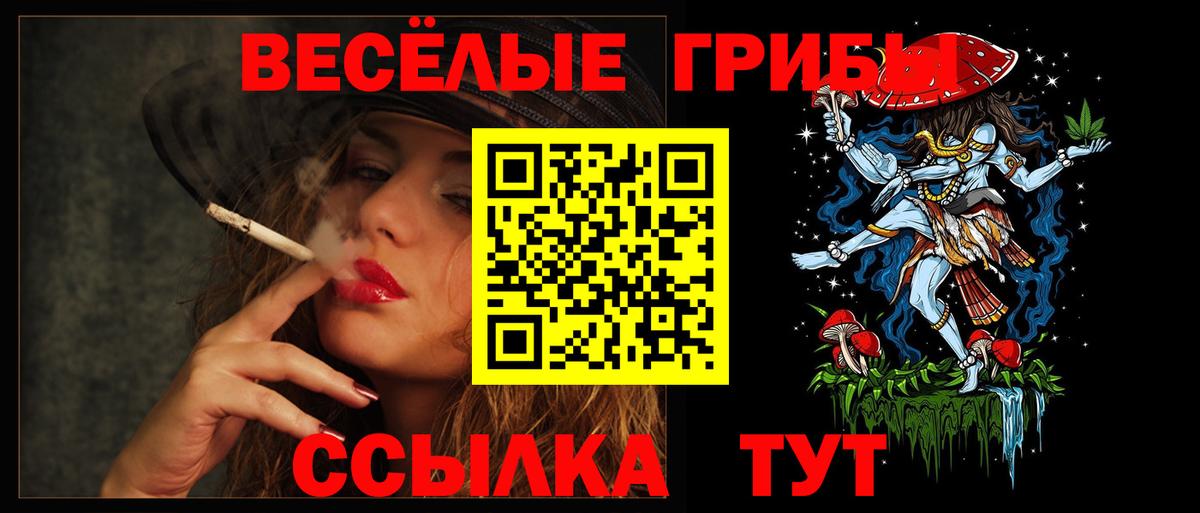 Галлюциногенные грибы Psilocybe  Вход с VPN  даркнет сайт  Вязьма  Галлюциногенные грибы мицелий 