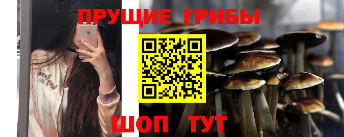 Галлюциногенные грибы мицелий Вязьма